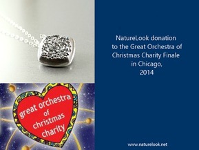 Christmas Charity donation